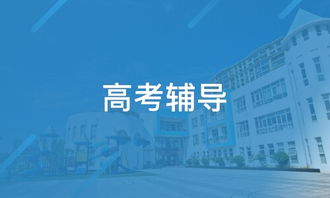 天津桃源教育咨詢（淘學(xué)培訓(xùn)）探析 服務(wù)、特色與學(xué)員反饋